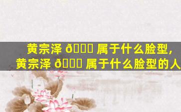 黄宗泽 🐕 属于什么脸型,黄宗泽 🐝 属于什么脸型的人
